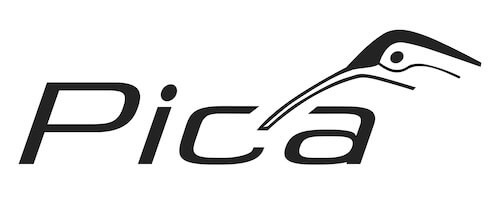 Pica
